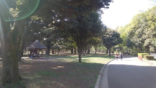 新宿駅発 代々木公園まで移動する方法 節約マニアの移動術